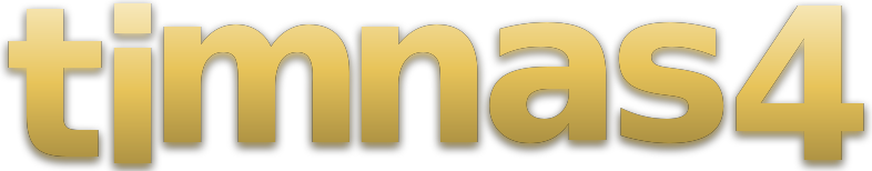 timnas4 logo